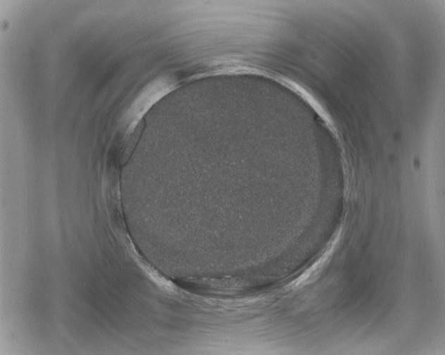 X0000070381289200606121243