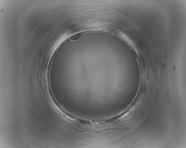 X0000070381291200606121243