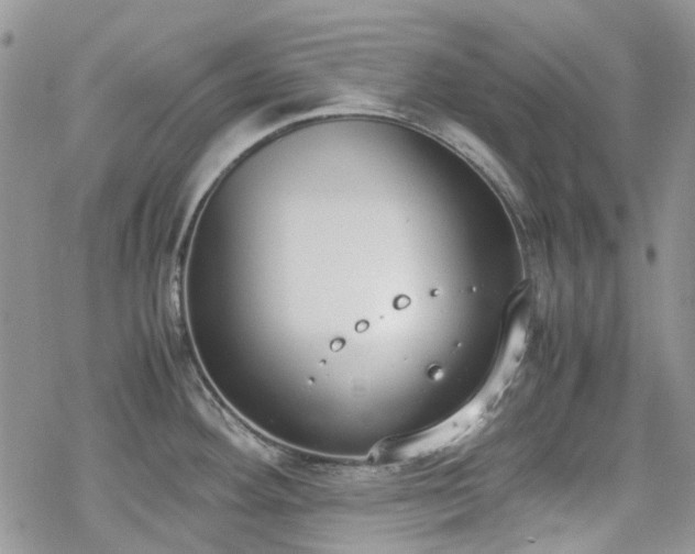 X0000070381292200606121243