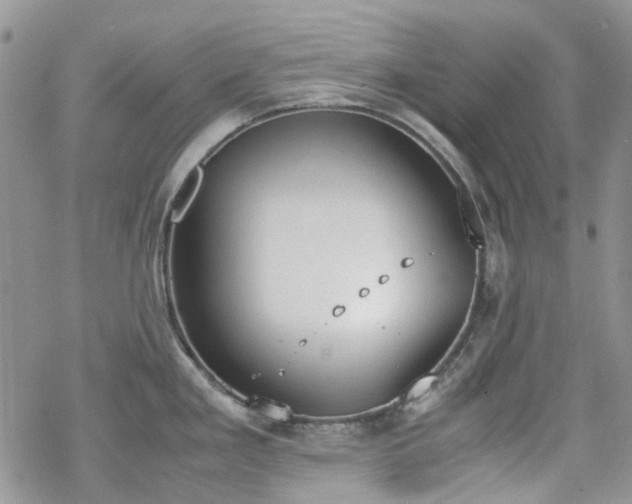 X0000070381293200606121243