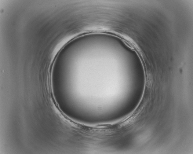 X0000070381295200606121243