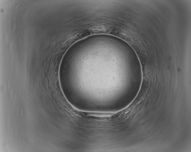 X0000070381297200606121242