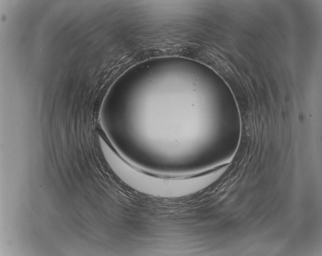 X0000070381298200606121242