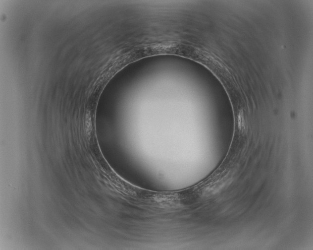 X0000070381299200606121242