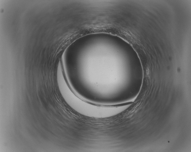 X0000070381300200606121242