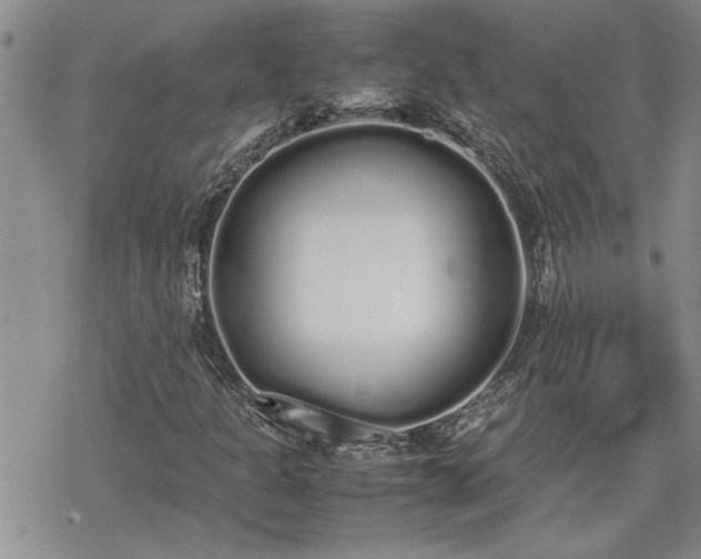 X0000070381301200606121242