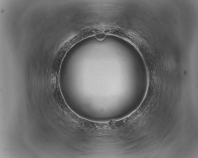 X0000070381302200606121242