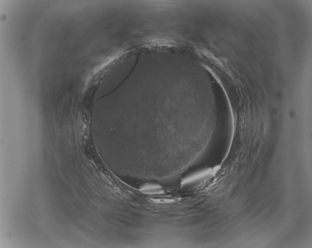 X0000070381303200606121242