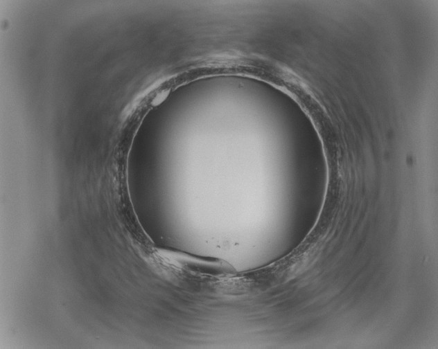 X0000070381304200606121242