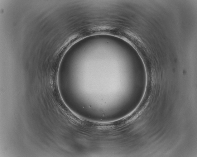 X0000070381305200606121243