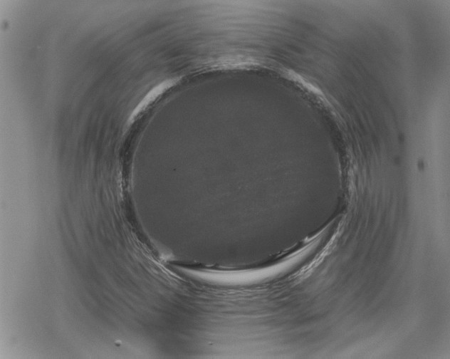 X0000070381306200606121243