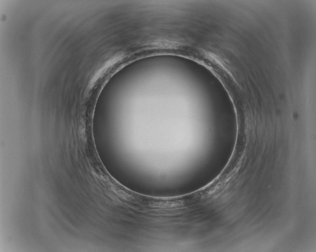 X0000070381307200606121243