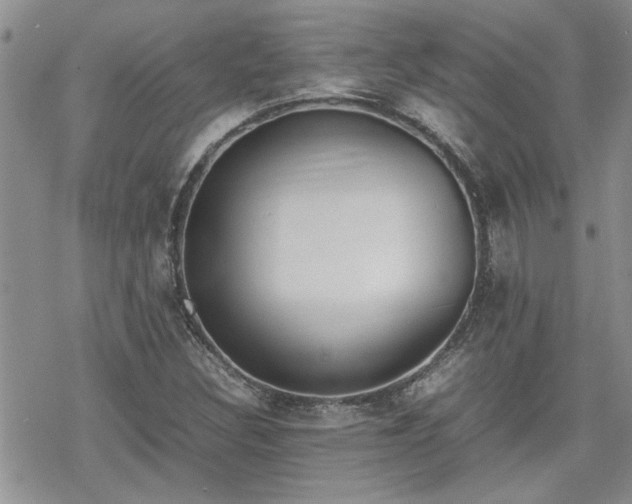 X0000070381308200606121243