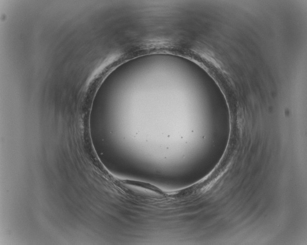 X0000070381309200606121243