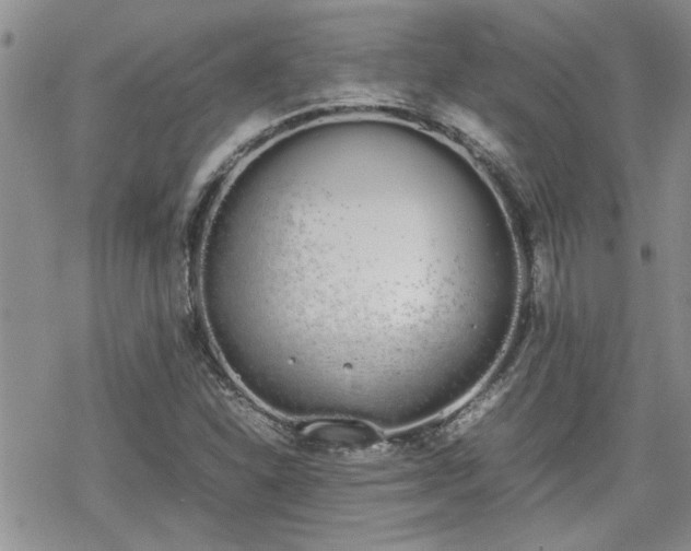 X0000070381310200606121243