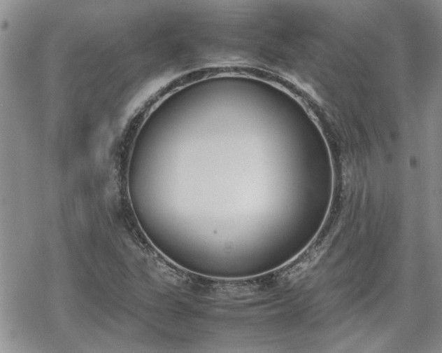 X0000070381311200606121243