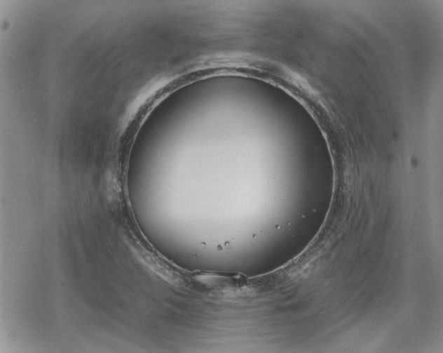 X0000070381312200606121243