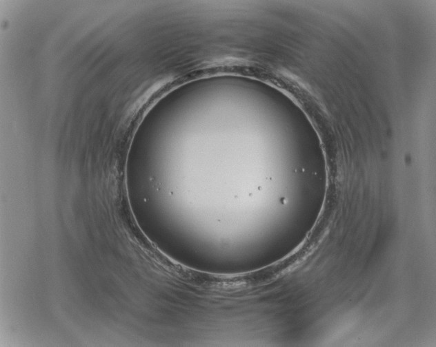 X0000070381313200606121243