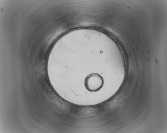 X0000070381314200606121243