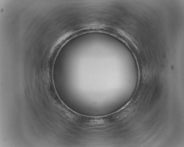 X0000070381315200606121243