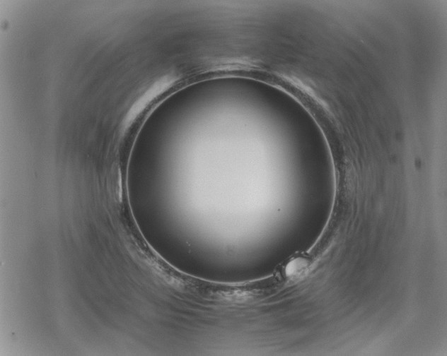 X0000070381317200606121243