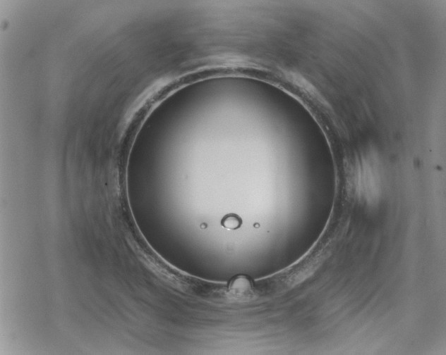 X0000070381318200606121243