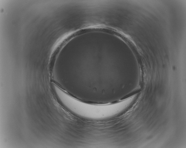 X0000070381319200606121243