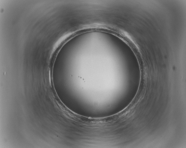 X0000070381320200606121243