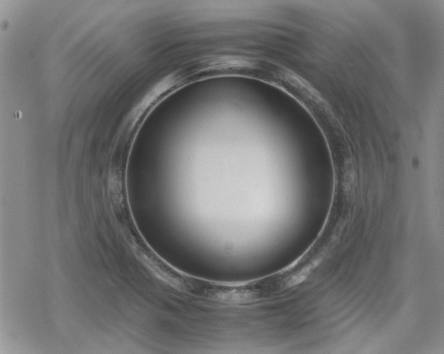 X0000070381321200606121243