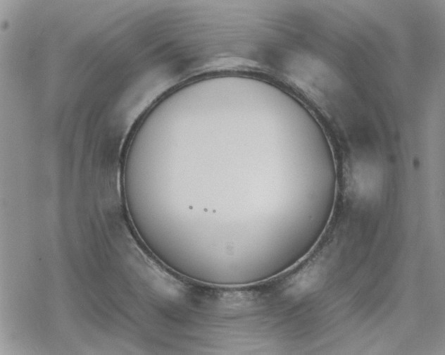 X0000070381322200606121243