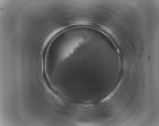 X0000070381323200606121243