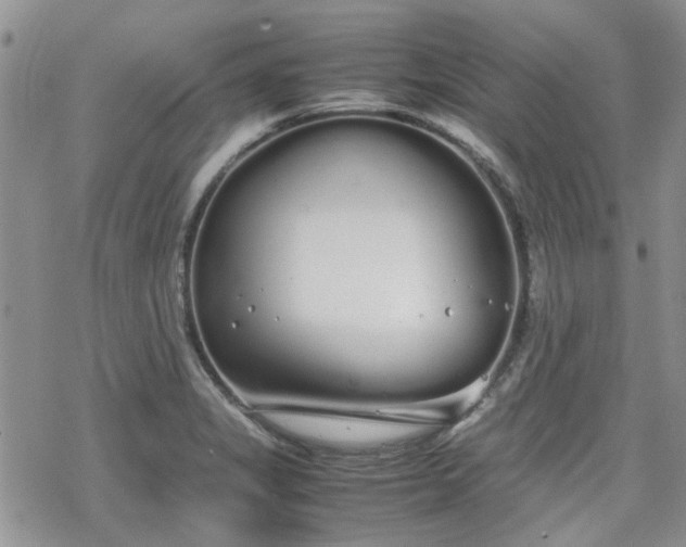 X0000070381325200606121243