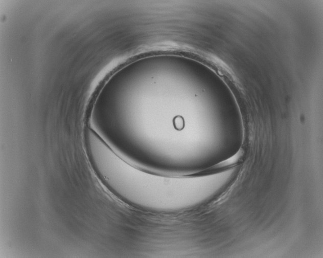 X0000070381326200606121243