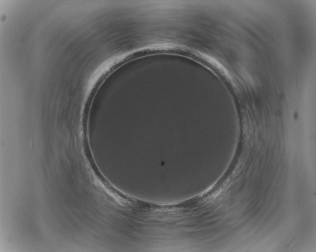 X0000070381327200606121243