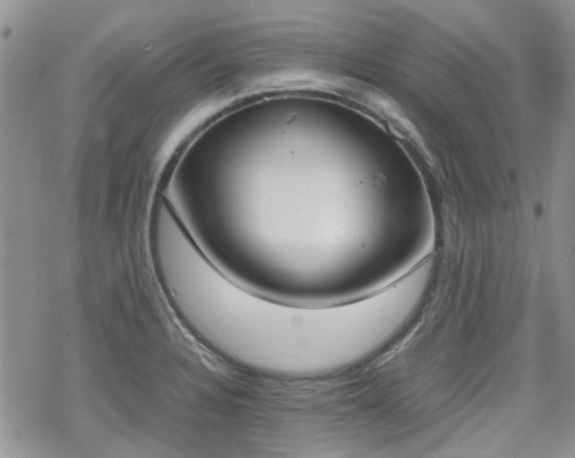 X0000070381328200606121243