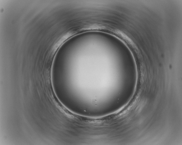 X0000070381329200606121243