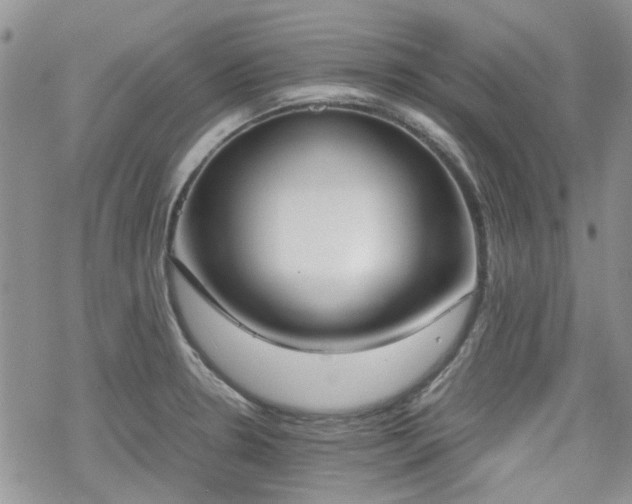 X0000070381330200606121243