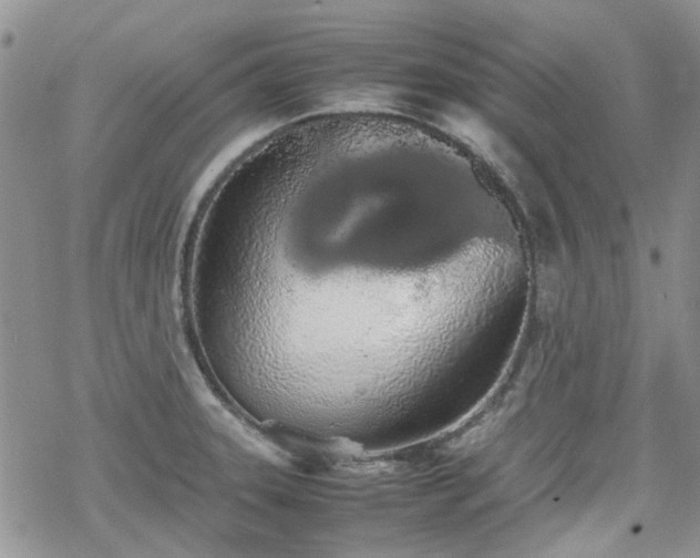 X0000070381331200606121243