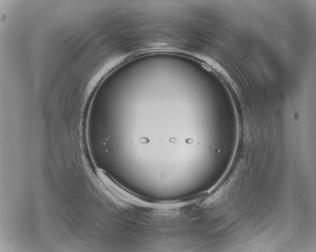 X0000070381333200606121243