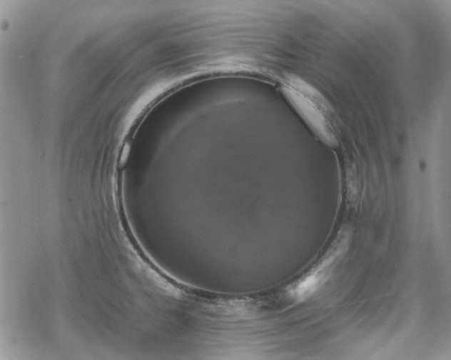 X0000070381334200606121243