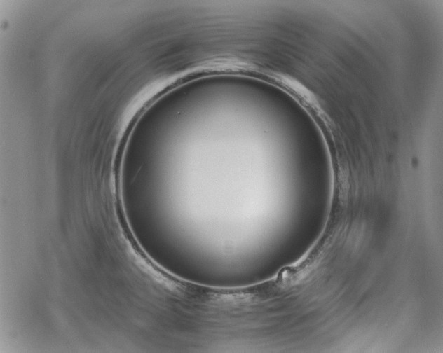 X0000070381335200606121243