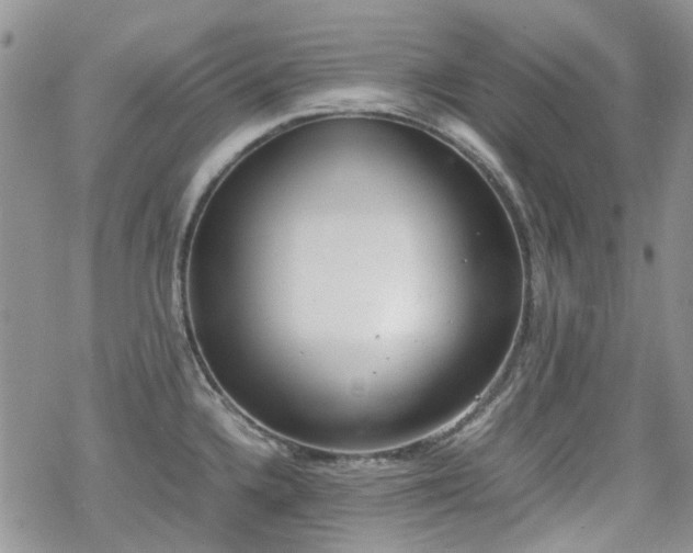 X0000070381336200606121243