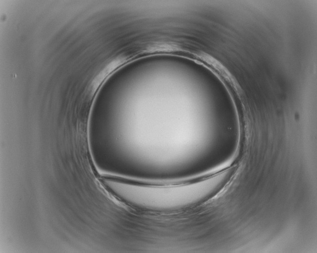 X0000070381337200606121243