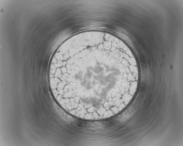 X0000070381338200606121243