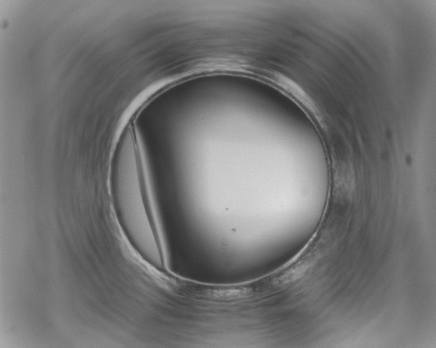 X0000070381339200606121243