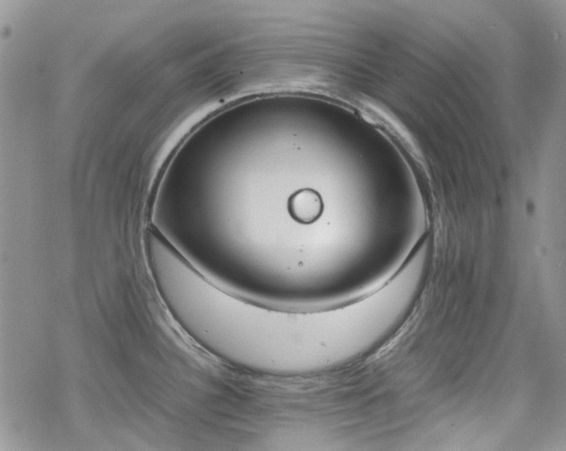 X0000070381340200606121243