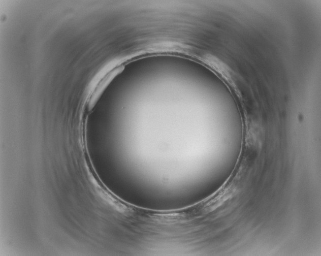 X0000070381342200606121243