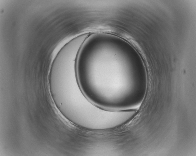 X0000070381344200606121243