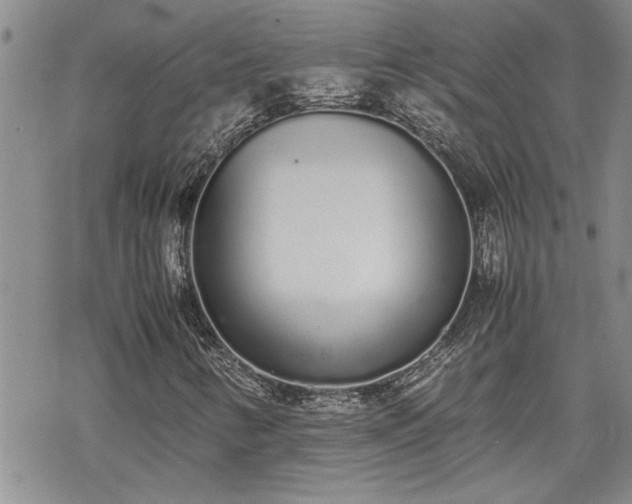 X0000070381346200606121242