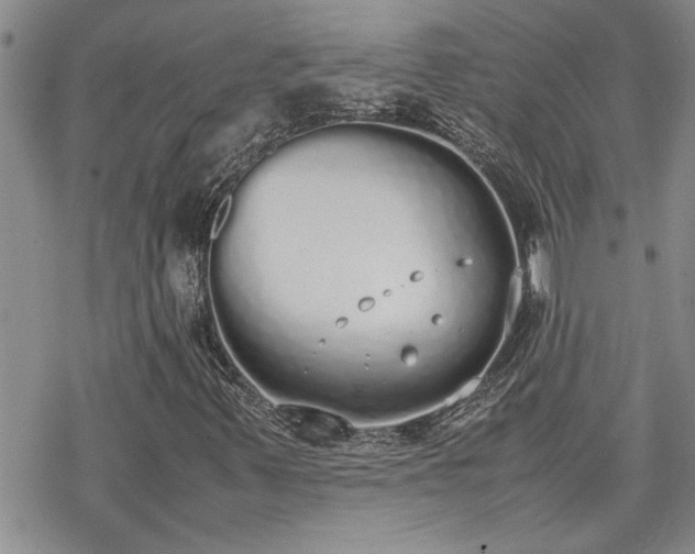 X0000070381347200606121242